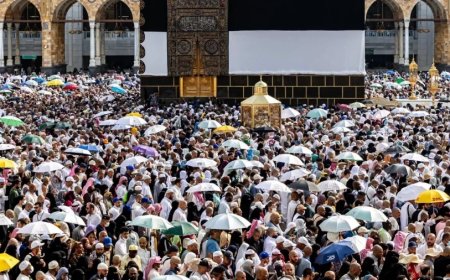 Hajj 2024: मक्का में भीषण गर्मी बनी जानलेवा, अब तक करीब 550 से ज्यादा हज यात्रियों की मौत, इतनों का हुआ इलाज