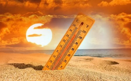 Uttar Pradesh Weather: UP में जानलेवा लू का कोहराम, 24 घंटे में 81लोगों की गई जान; अकेले कानपुर में 13 मौतें