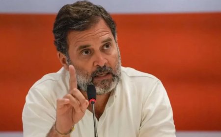 Rahul Gandhi News:'कोई गधा नहीं सब घोड़े, बस करें पहचान'- पार्टी नेताओं को राहुल गाँधी की नसीयत