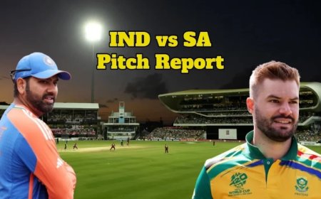 IND vs SA: भारत-अफ्रीका फाइनल मैच की पिच का खुल गया राज, दोनों टीमों को मिलेगी ऐसी कंडीशन