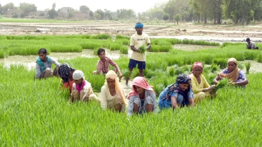 PM Kisan Yojana: किसान योजना की 17वीं किस्त का पैसा इस तारीख को खाते में आएगा, इतने करोड़ किसानों को होगा फायदा