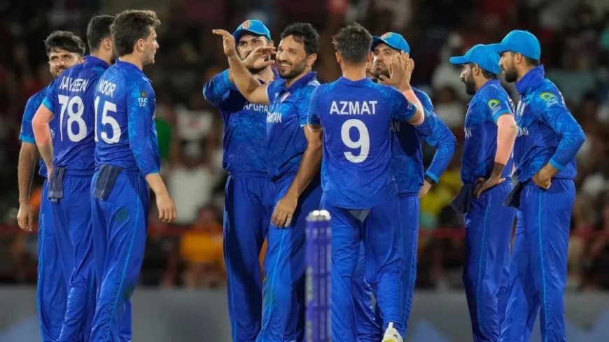 T20 World Cup 2024: अफगानिस्तान का सुपर 8 से पहले बुरा हाल, टीम के हेड कोच का बड़ा बयान