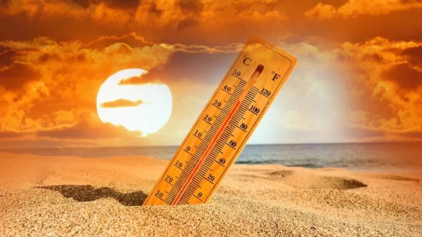 Uttar Pradesh Weather: UP में जानलेवा लू का कोहराम, 24 घंटे में 81लोगों की गई जान; अकेले कानपुर में 13 मौतें
