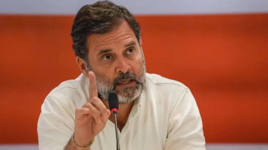 Rahul Gandhi News:'कोई गधा नहीं सब घोड़े, बस करें पहचान'- पार्टी नेताओं को राहुल गाँधी की नसीयत