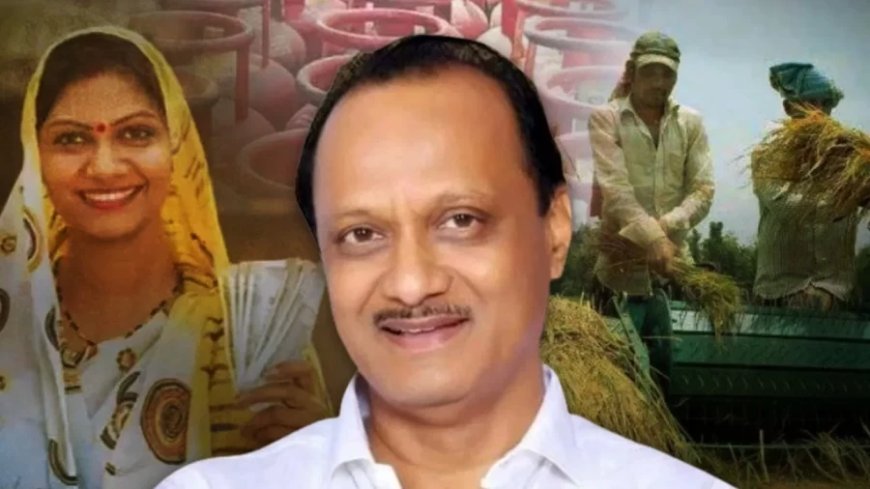 Maharashtra Budget: कर्ज में राहत, महिलाओं को 1500, 3 सिलेंडर मुफ्त... जानिए महाराष्ट्र बजट की अहम बातें