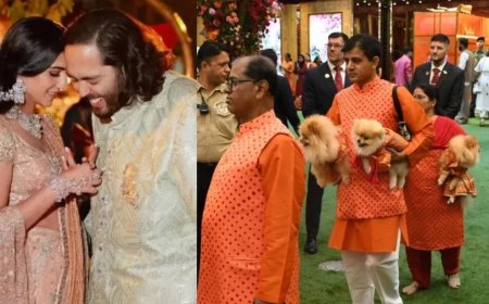 Anant-Radhika Wedding: अनंत-राधिका के मेमारू फंक्शन में पेट्स का भी दिखा जलवा, सजे-धजे दिखे
