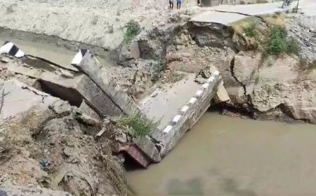 Bihar Government: लगातार गिर रहे बिहार में पुल, सरकार ने लिया बड़ा एक्शन, 15 इंजीनियर्स को किया सस्पेंड