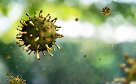 Chandipura Virus: संदिग्ध वायरस से गुजरात में हो रही बच्चों की मौत, अब तक 12 की गई जान; जानें क्या हैं लक्षण