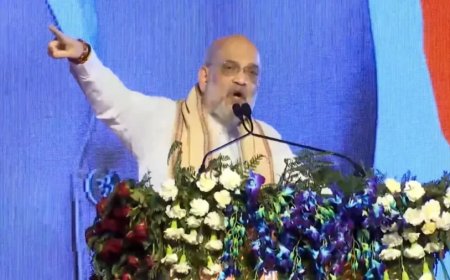 Haryana Assembly Election: 'मुसलमानों को कर्नाटक में कांग्रेस ने दिया OBC कोटा, हरियाणा में BJP नहीं होने देगी ऐसा'- अमित शाह