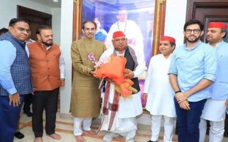 Samajwadi Party: मुंबई में सपा नेताओं का डेरा... अयोध्या के सांसद और उद्वव ठाकरे के बीच बैठक, जानें क्या हुई बात?