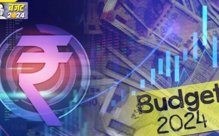 Union Budget 2024: हेल्थ सेक्टर का बजट बढ़ा सकती हैं वित्त मंत्री सीतारमण, सामने आई मोटी डिमांड