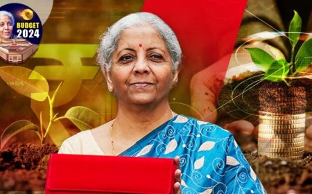 Union Budget 2024: इन सेक्टर्स पर रह सकता है आज बजट में फोकस, हो सकते हैं बड़े ऐलान