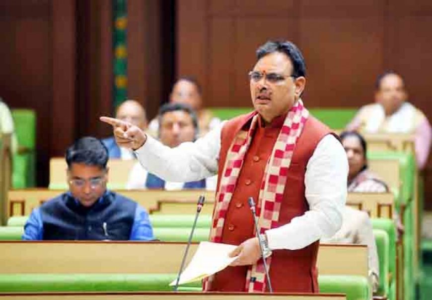 Rajasthan Vidhan Sabha: भजनलाल सरकार को विधानसभा में घेरेंगे बीजेपी के ही विधायक, बजट से पहले...
