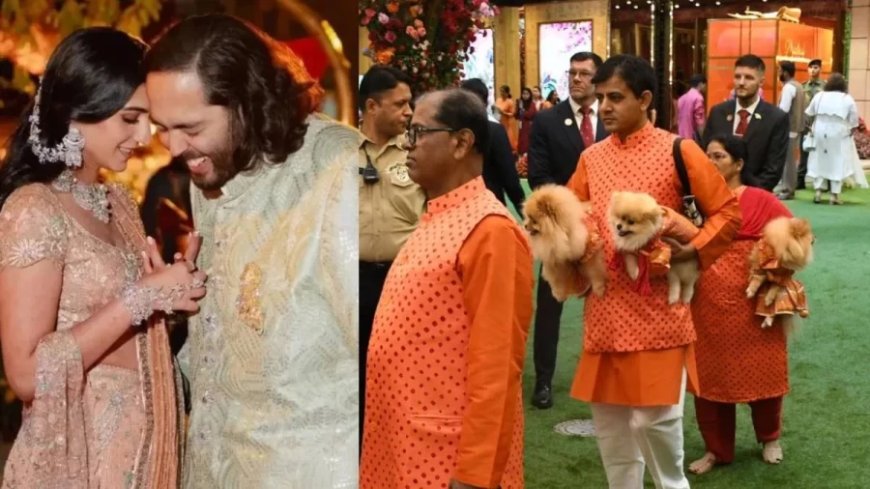 Anant-Radhika Wedding: अनंत-राधिका के मेमारू फंक्शन में पेट्स का भी दिखा जलवा, सजे-धजे दिखे