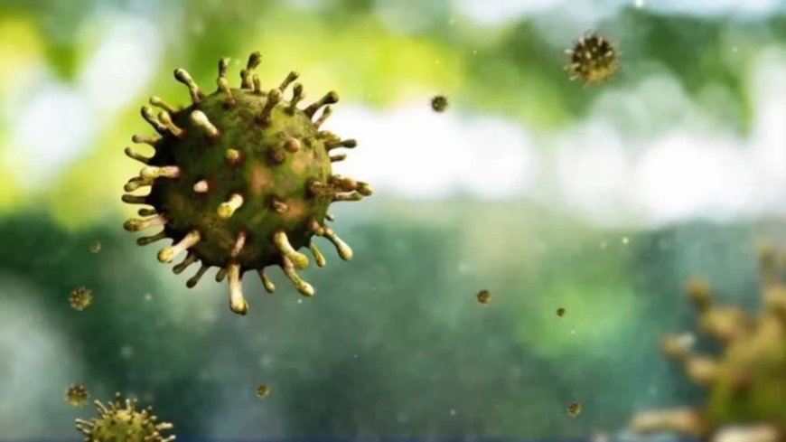 Chandipura Virus: संदिग्ध वायरस से गुजरात में हो रही बच्चों की मौत, अब तक 12 की गई जान; जानें क्या हैं लक्षण
