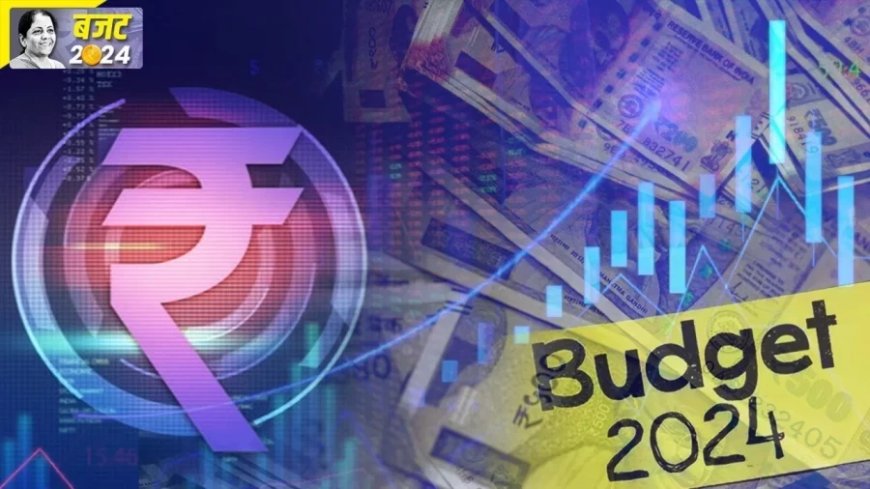 Union Budget 2024: हेल्थ सेक्टर का बजट बढ़ा सकती हैं वित्त मंत्री सीतारमण, सामने आई मोटी डिमांड