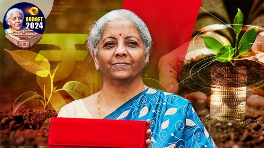 Union Budget 2024: इन सेक्टर्स पर रह सकता है आज बजट में फोकस, हो सकते हैं बड़े ऐलान