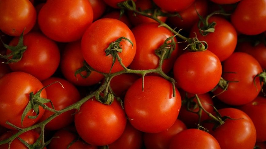 Tomato Price: सरकार ने किया बड़ा ऐलान- अब टमाटर की कीमतों से मिलेगी राहत