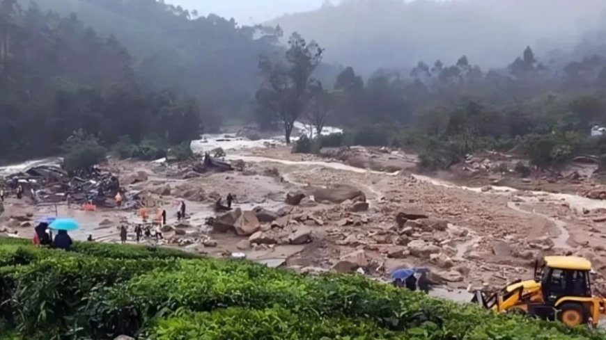 Kerala Landslide: वायनाड में 4 घंटे में 3 लैंडस्लाइड, 119 मौतें- केरल में 2 दिन का राजकीय शोक