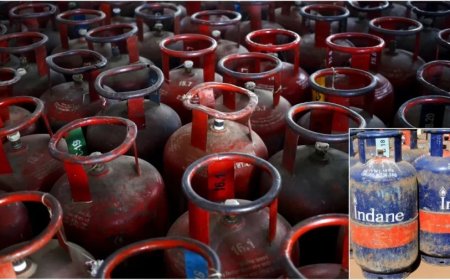 LPG Price Hike: महीने के पहले ही दिन महंगाई का झटका, गैस सिलेंडर के बढ़ गए हैं दाम, जानिए नई कीमत