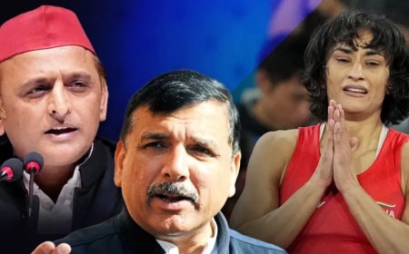 Paris Olympic 2024: मैदान खेल का या लड़ाई सियासी, विनेश के अयोग्य घोषित होने को क्यों बताया जा रहा साजिश?