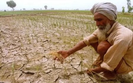 Haryana Government: सरकार देगी इस राज्य के किसानों को प्रति एकड़ ₹2,000 बोनस, 15 अगस्त तक रजिस्ट्रेशन कराना होगा