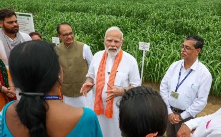 Pm Narendra Modi: PM मोदी ने उन्नत बीजों की किस्में जारी की, 109 किसानों और वैज्ञानिकों से की बात