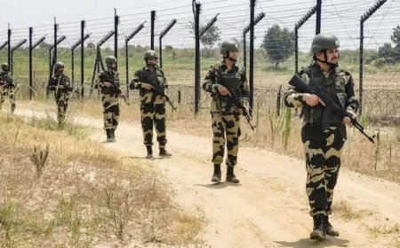 Bangladesh Violence: बांग्लादेश में बिगड़े हालात, भारत में घुसने की कोशिश करते 11 बांग्लादेशी को BSF ने पकड़ा