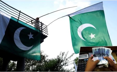 Pakistan News: पाकिस्तान से विदेशी कंपनियां उल्टे पांव भाग रहीं, जानिए क्या है वजह