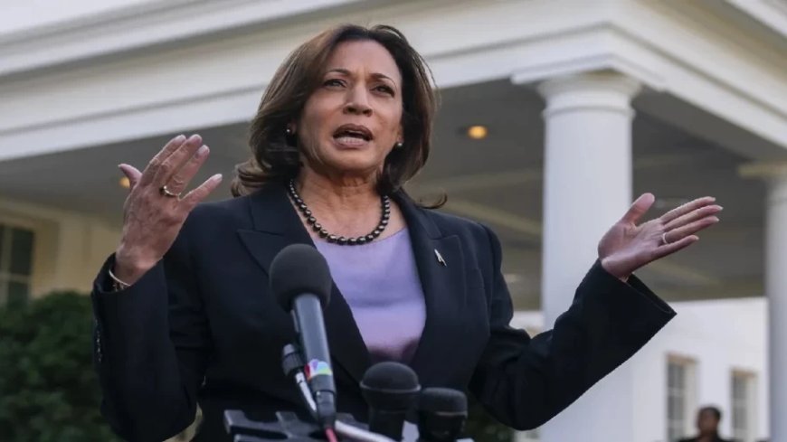 US Presidential Election: ट्रंप की बढ़ जाएंगी कमला हैरिस के इस कदम से धड़कनें, डेमोक्रेटिक पार्टी ने कर रखी है बड़ी प्लानिंग