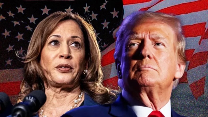 US Presidential Election: कमला हैरिस या ट्रंप,अमेरिका में बसे भारतीयों की पहली पसंद कौन?