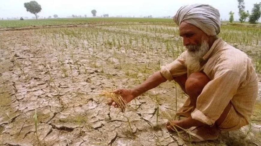 Haryana Government: सरकार देगी इस राज्य के किसानों को प्रति एकड़ ₹2,000 बोनस, 15 अगस्त तक रजिस्ट्रेशन कराना होगा