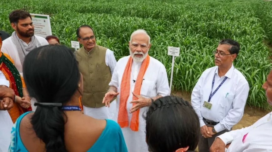 Pm Narendra Modi: PM मोदी ने उन्नत बीजों की किस्में जारी की, 109 किसानों और वैज्ञानिकों से की बात