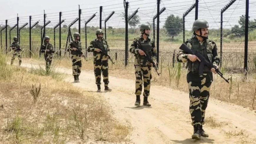 Bangladesh Violence: बांग्लादेश में बिगड़े हालात, भारत में घुसने की कोशिश करते 11 बांग्लादेशी को BSF ने पकड़ा