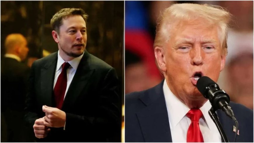 US Presidential Election: डोनाल्ड ट्रंप का लिया एलन मस्क ने इंटरव्यू, अमेरिका के पूर्व राष्ट्रपति से पूछे ये सवाल