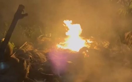 Bihar News: 100 दबंग, 80 घर, 50 राउंड फायरिंग... नवादा में राख हुई दलित बस्ती का दुश्मन कौन?