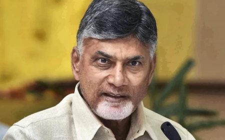 Tirupati Laddu Case: लैब रिपोर्ट आने के बाद CM नायडू का बड़ा बयान, बोले- 'किसी को बख्शा नहीं जाएगा'