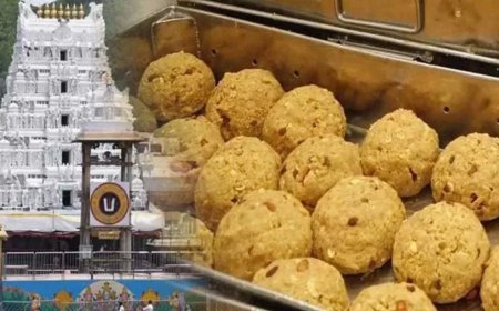 Tirupati Balaji: SC पहुंचा तिरुपति लड्डू का मामला, मामले में हस्तक्षेप की मांग