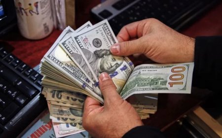 Foreign Exchange: भारत का विदेशी मुद्रा भंडार 689.46 अरब डॉलर के नए ऑल टाइम हाई पर