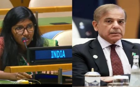 India-Pakistan News: UNGA में PM शहबाज शरीफ की किरकिरी, भारत ने कश्मीर मुद्दे पर जमकर लताड़ा