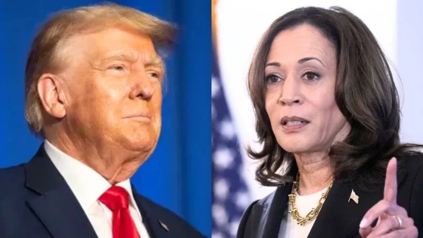 US Presidential Debate: 'किसी कुत्ते की तरह बाइडेन को बाहर कर दिया', ट्रंप और कमला हैरिस में बहस