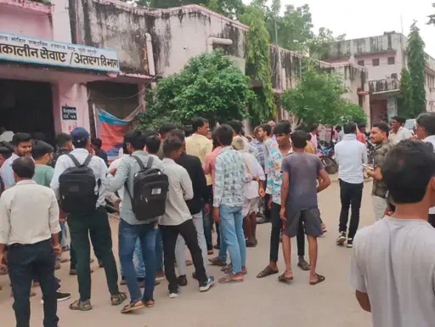 Rajasthan: गणपति विसर्जन के दौरान डूबने से 5 की मौत