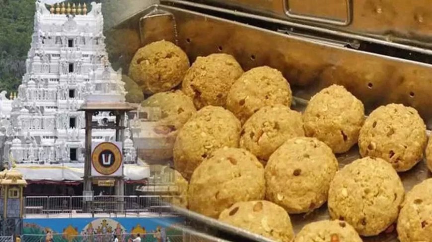 Tirupati Balaji: SC पहुंचा तिरुपति लड्डू का मामला, मामले में हस्तक्षेप की मांग