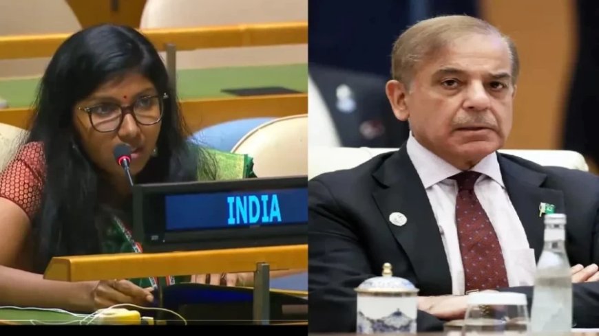 India-Pakistan News: UNGA में PM शहबाज शरीफ की किरकिरी, भारत ने कश्मीर मुद्दे पर जमकर लताड़ा