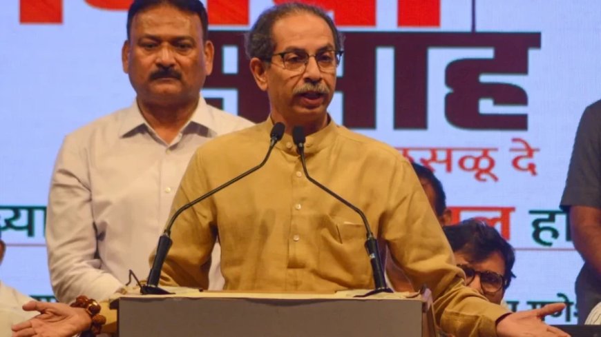 Maharashtra Politics: 'क्या आप हमें खत्म होने देंगे?', उद्धव ठाकरे को शरद पवार से क्यों पूछना पड़ा ये सवाल?