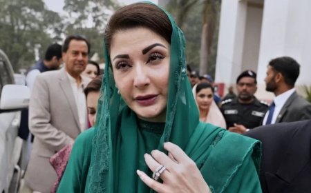 Maryam Nawaz News: भारत-पाकिस्तान पंजाब का प्रदूषण दूर करने के लिए करें मिलकर काम- मरियम नवाज