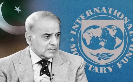 Pakistan Economic Crisis: पाकिस्तान की आर्थिक तरक्की में सबसे बड़ा क्या है रोड़ा? IMF ने बताया