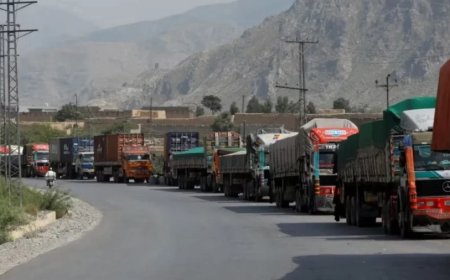 India-Pakistan Trade:कितने समय से भारत और पाकिस्तान के बीच बंद है व्यापार, किन चीजों की होती थी ट्रेडिंग
