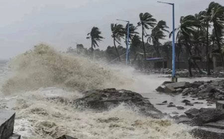 Cyclone Dana News: कब दस्तक देगा चक्रवाती तूफान 'दाना'? कई राज्यों के लिए जारी हुआ बारिश का अलर्ट
