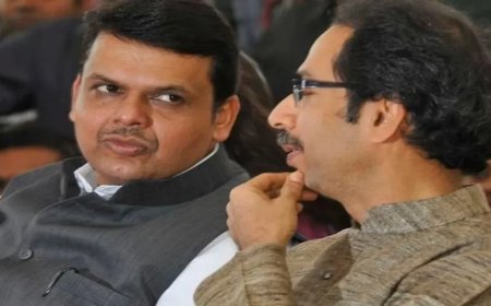 Maharashtra Election 2024: उद्धव ठाकरे से फडणवीस की हुई थी गुपचुप मुलाकात, MVA में होगा खेला?